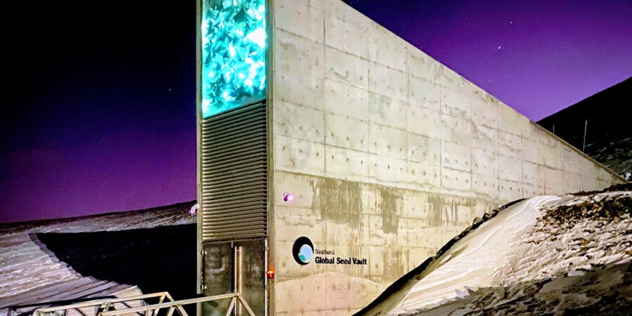 {Radio} The world continues….